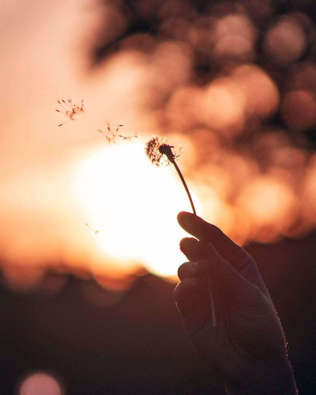 The Expectations You Were Never Meant to&nbsp;Carry